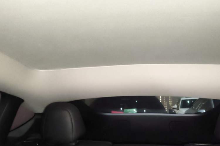 Used Tesla Model Y 2022 Rear-Wheel-Drive Version Headliner