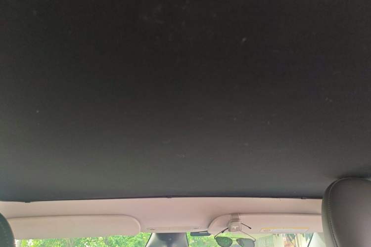 Used Tesla Model Y 2022 Revised Version Rear-Wheel Drive Headliner