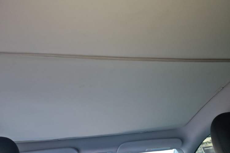 Used Tesla Model Y 2022 Revised Version Rear-Wheel Drive Headliner