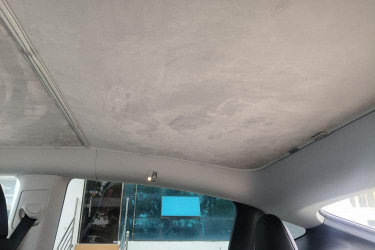 Used Tesla Model Y 2022 Revised Version Rear-Wheel Drive Headliner