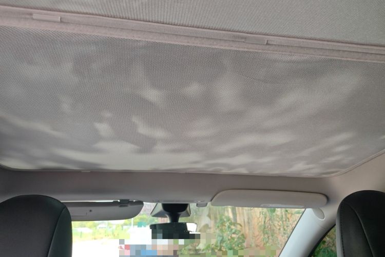 Used Tesla Model Y 2022 Rear-Wheel-Drive Version Headliner