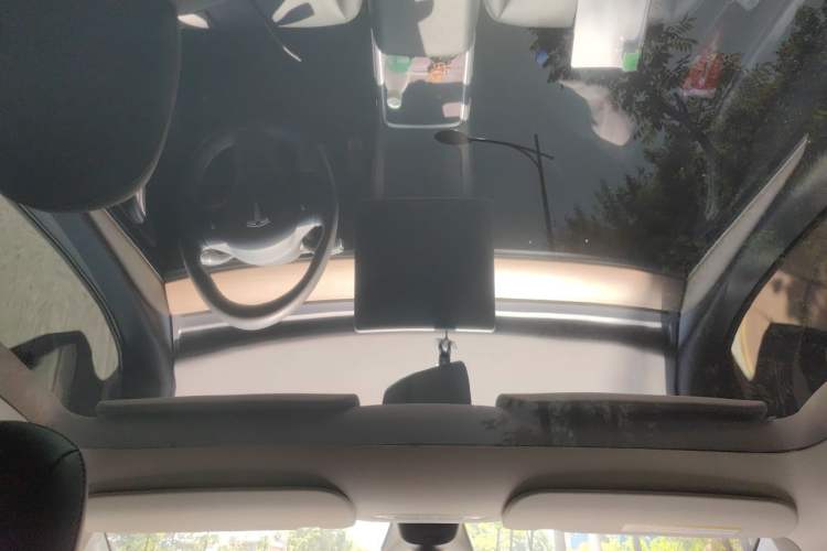 Used Tesla Model Y 2022 Rear-Wheel-Drive Version Headliner