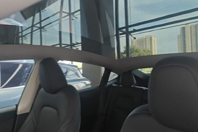 Used Tesla Model Y 2022 Revised Version Rear-Wheel Drive Headliner
