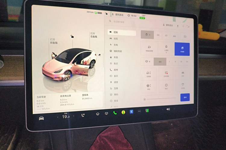 Used Tesla Model Y 2022 Revised Version Rear-Wheel Drive Instrument Cluster