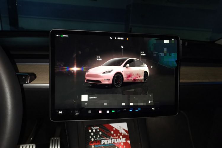 Used Tesla Model Y 2022 Performance High-Performance All-Wheel-Drive Version Instrument Cluster
