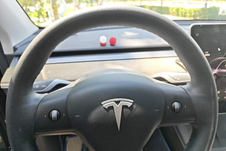 Used Tesla Model Y 2022 Revised Version Rear-Wheel Drive Instrument Cluster