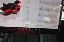 Thumbnail 15