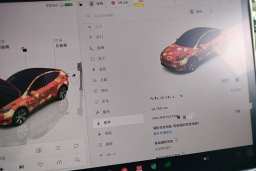 Thumbnail 15
