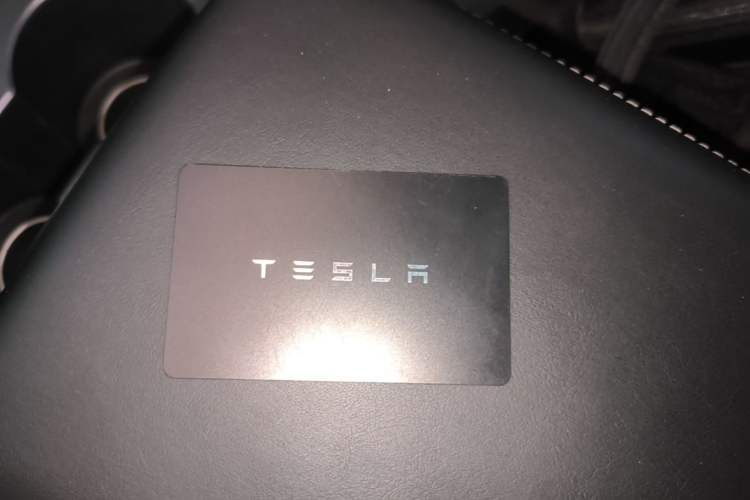 Used Tesla Model Y 2022 Long-Range All-Wheel-Drive Version Interior 1