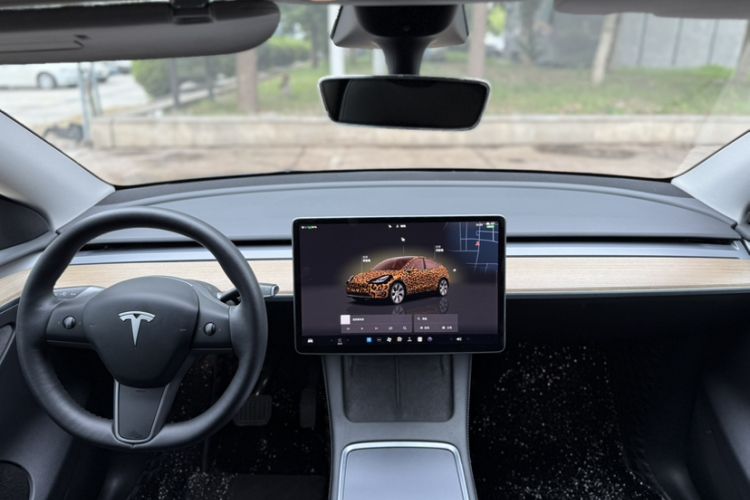 Used Tesla Model Y 2022 Rear-Wheel-Drive Version Interior 5