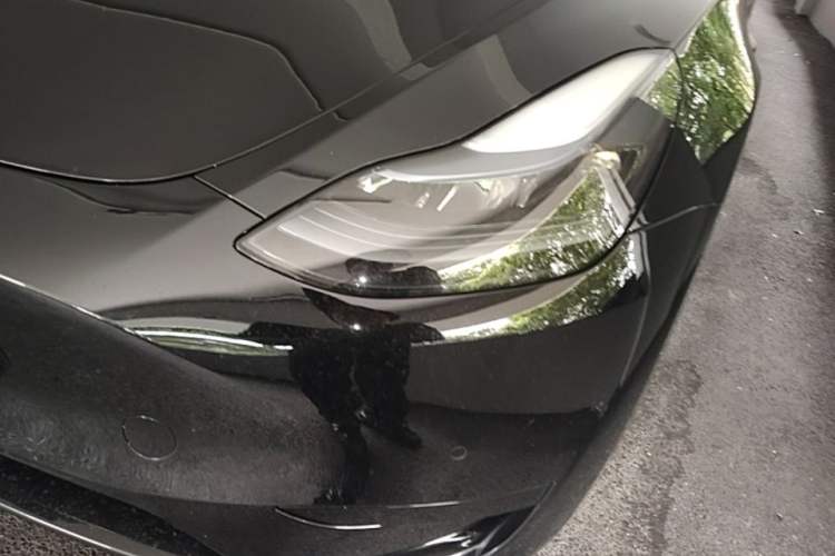 Used Tesla Model Y 2022 Revised Version Rear-Wheel Drive Left Front Headlight