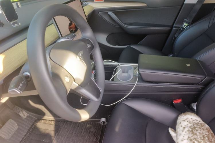 Used Tesla Model Y 2022 Rear-Wheel-Drive Version Left Front Seat
