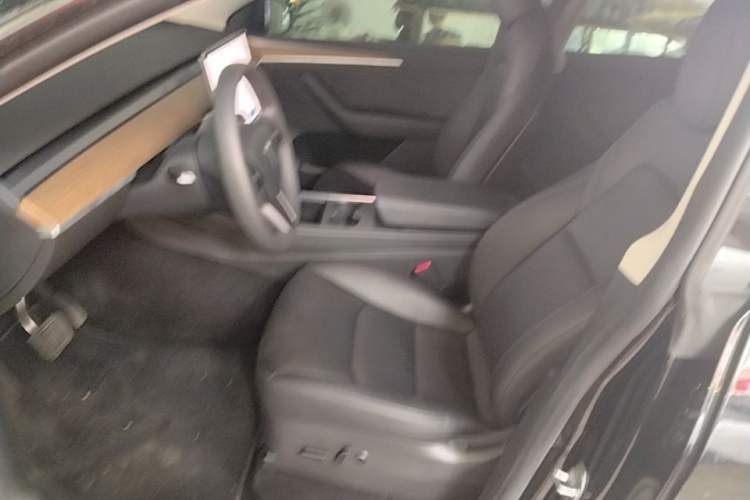 Used Tesla Model Y 2022 Rear-Wheel-Drive Version Left Front Seat
