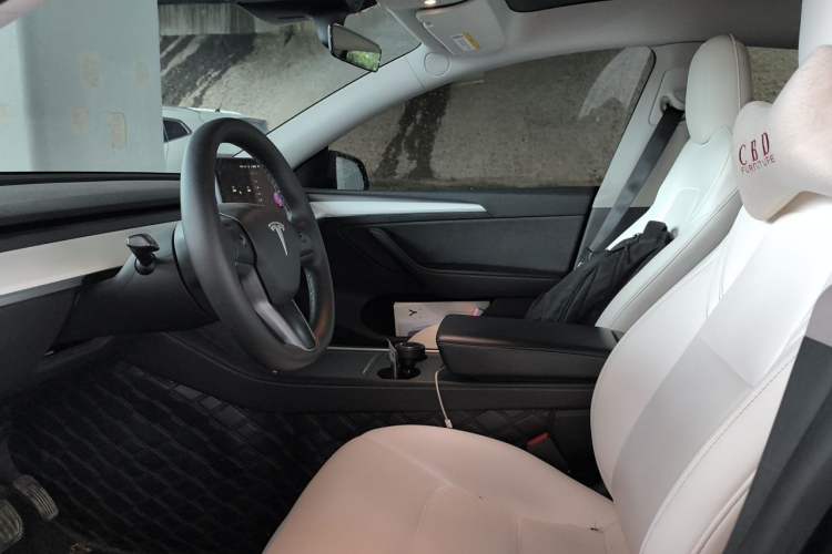Used Tesla Model Y 2022 Rear-Wheel-Drive Version Left Front Seat
