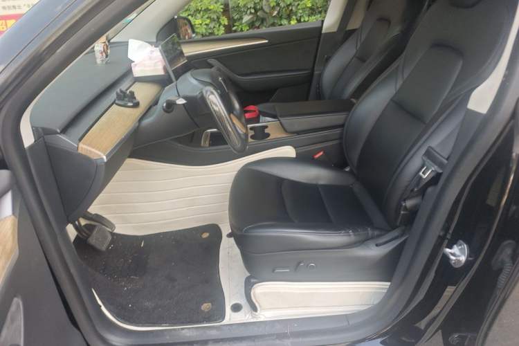 Used Tesla Model Y 2022 Rear-Wheel-Drive Version Left Front Seat