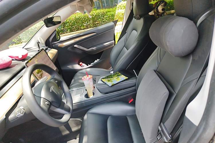 Used Tesla Model Y 2022 Rear-Wheel-Drive Version Left Front Seat