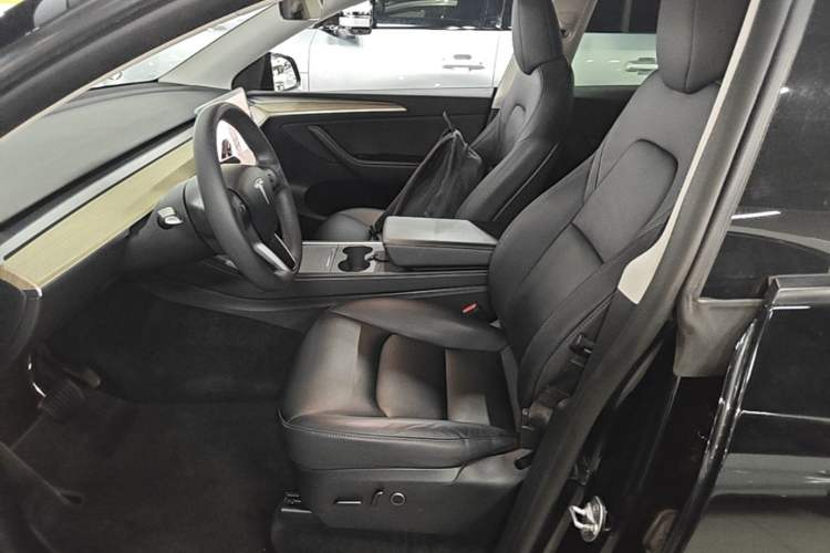 Used Tesla Model Y 2022 Revised Version Rear-Wheel Drive Left Front Seat