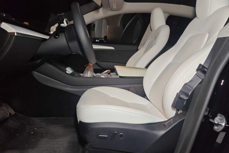 Used Tesla Model Y 2022 Revised Version Rear-Wheel Drive Left Front Seat