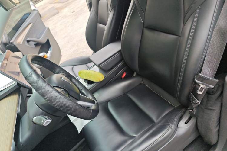 Used Tesla Model Y 2022 Rear-Wheel-Drive Version Left Front Seat