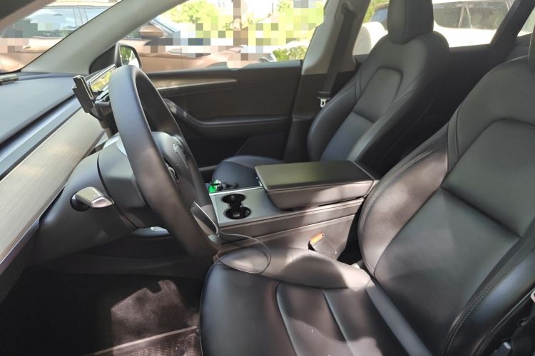 Used Tesla Model Y 2022 Rear-Wheel-Drive Version Left Front Seat