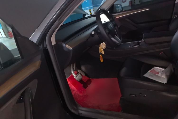 Used Tesla Model Y 2022 Rear-Wheel-Drive Version Left Front Seat