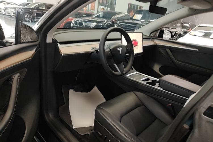 Used Tesla Model Y 2022 Rear-Wheel-Drive Version Left Front Seat