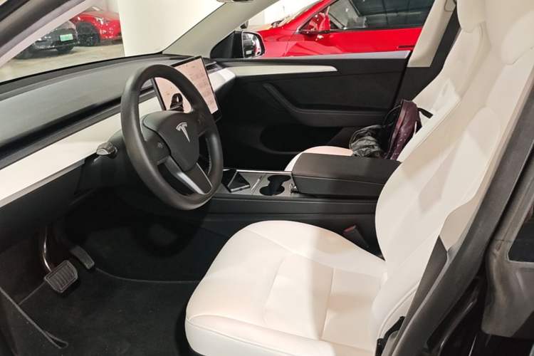 Used Tesla Model Y 2022 Rear-Wheel-Drive Version Left Front Seat
