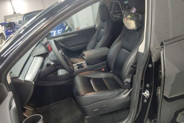 Used Tesla Model Y 2022 Revised Version Rear-Wheel Drive Left Front Seat