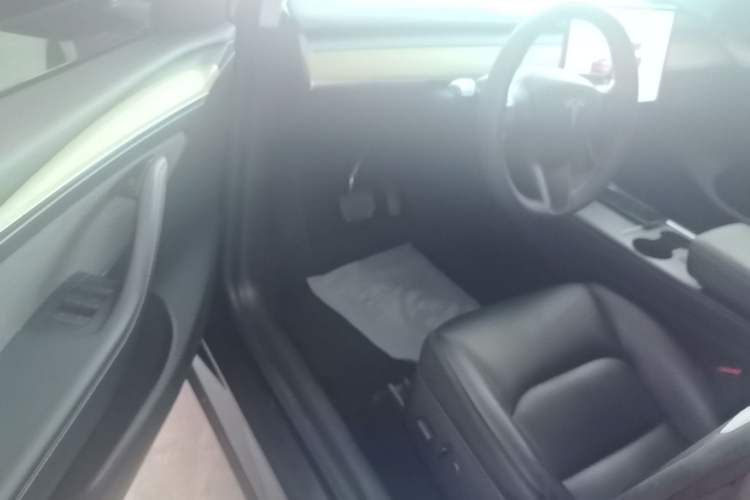 Used Tesla Model Y 2022 Revised Version Rear-Wheel Drive Left Front Seat