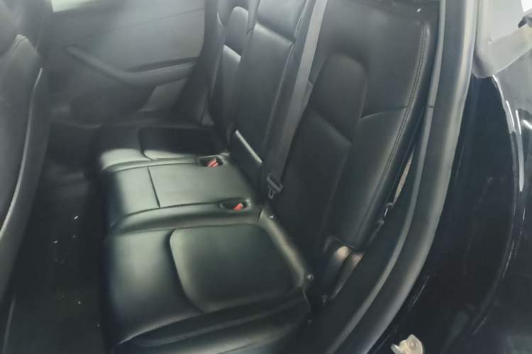 Used Tesla Model Y 2022 Revised Version Rear-Wheel Drive Left Rear Seat