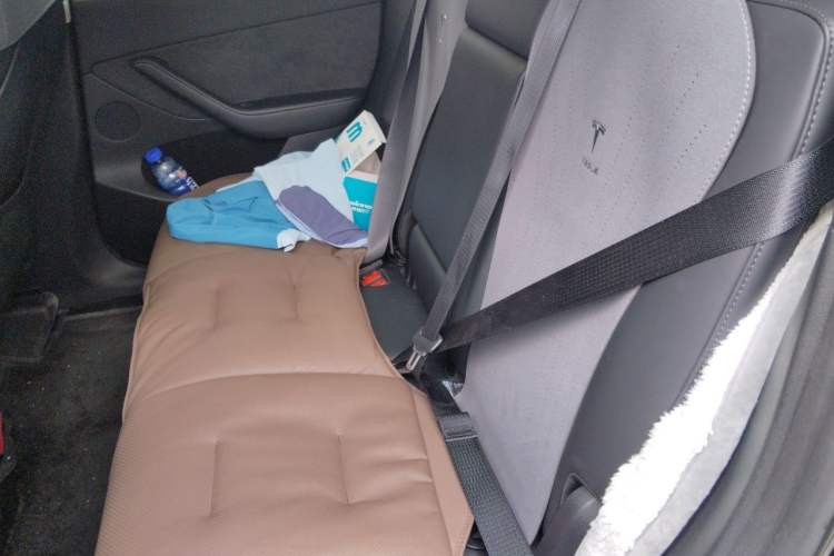 Used Tesla Model Y 2022 Performance High-Performance All-Wheel-Drive Version Left Rear Seat