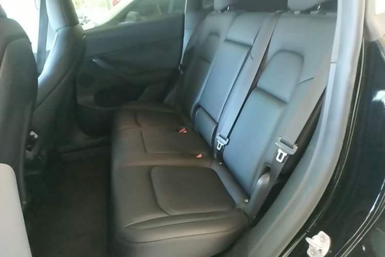 Used Tesla Model Y 2022 Rear-Wheel-Drive Version Left Rear Seat