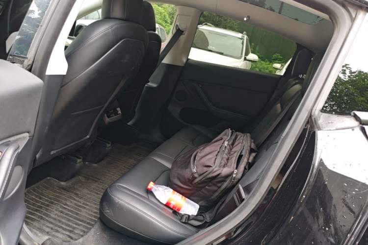 Used Tesla Model Y 2022 Rear-Wheel-Drive Version Left Rear Seat