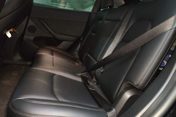 Used Tesla Model Y 2022 Revised Version Rear-Wheel Drive Left Rear Seat