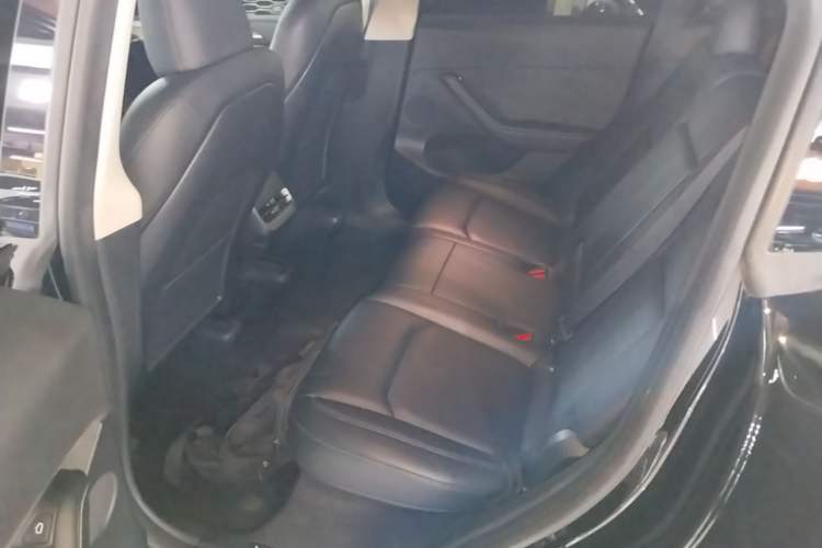 Used Tesla Model Y 2022 Performance High-Performance All-Wheel-Drive Version Left Rear Seat