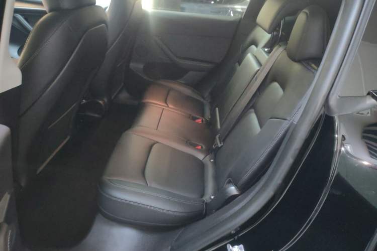 Used Tesla Model Y 2022 Revised Version Long-Range All-Wheel Drive Left Rear Seat