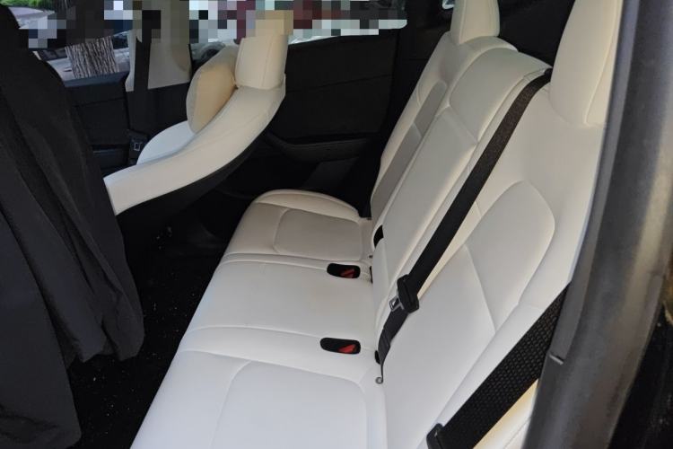 Used Tesla Model Y 2022 Revised Version Rear-Wheel Drive Left Rear Seat