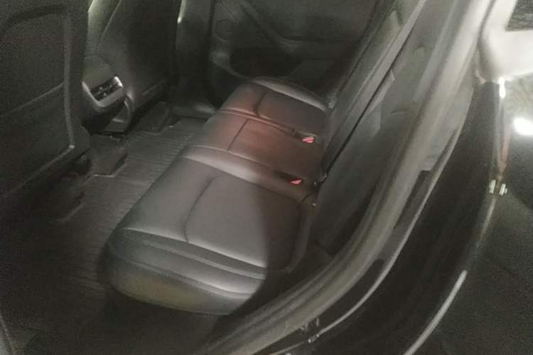 Used Tesla Model Y 2022 Rear-Wheel-Drive Version Left Rear Seat