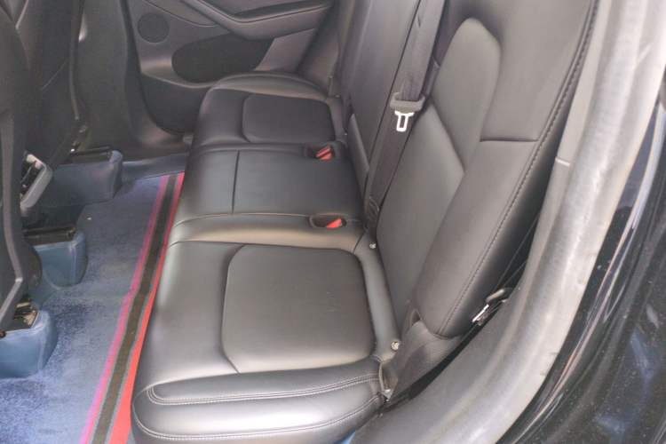 Used Tesla Model Y 2022 Revised Version Rear-Wheel Drive Left Rear Seat