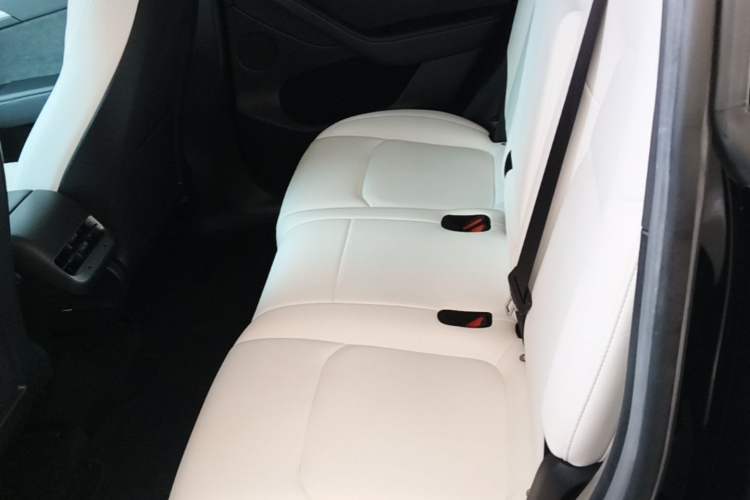 Used Tesla Model Y 2022 Revised Version Long-Range All-Wheel Drive Left Rear Seat
