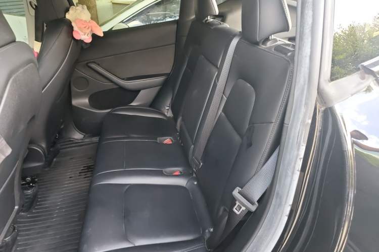 Used Tesla Model Y 2022 Revised Version Rear-Wheel Drive Left Rear Seat
