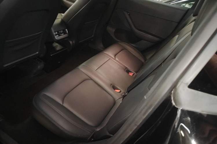 Used Tesla Model Y 2022 Rear-Wheel-Drive Version Left Rear Seat