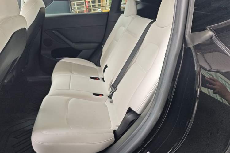 Used Tesla Model Y 2022 Revised Version Rear-Wheel Drive Left Rear Seat