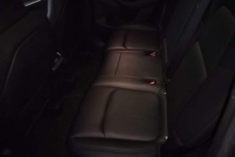 Used Tesla Model Y 2022 Revised Version Long-Range All-Wheel Drive Left Rear Seat