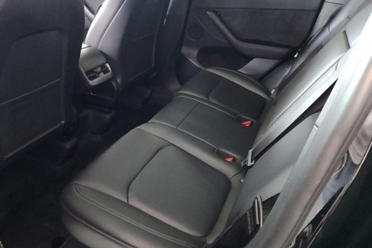 Used Tesla Model Y 2022 Revised Version Rear-Wheel Drive Left Rear Seat