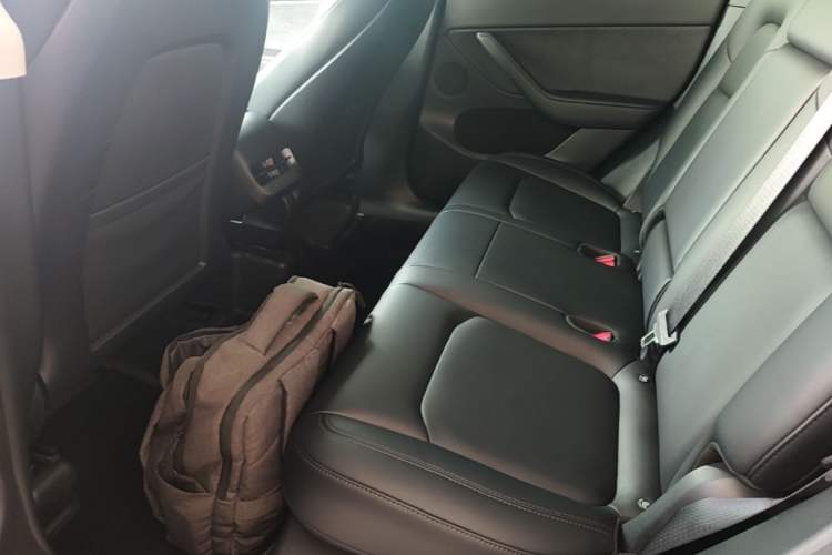 Used Tesla Model Y 2022 Long-Range All-Wheel-Drive Version Left Rear Seat