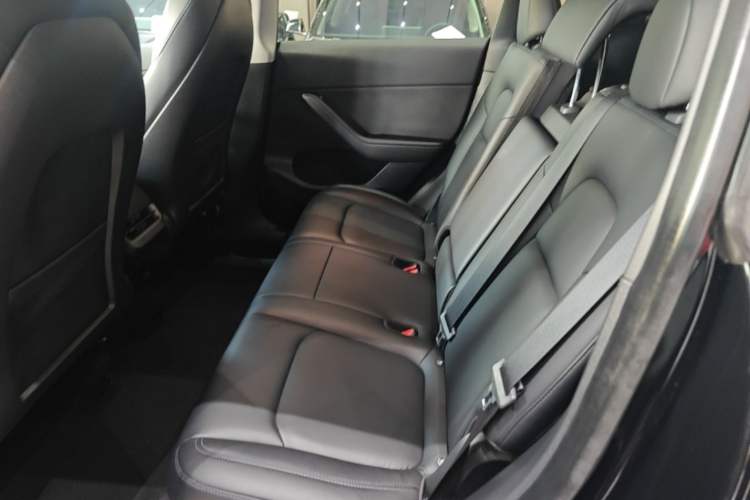 Used Tesla Model Y 2022 Revised Version Rear-Wheel Drive Left Rear Seat