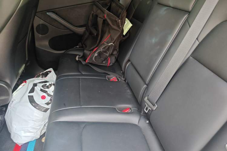 Used Tesla Model Y 2022 Rear-Wheel-Drive Version Left Rear Seat