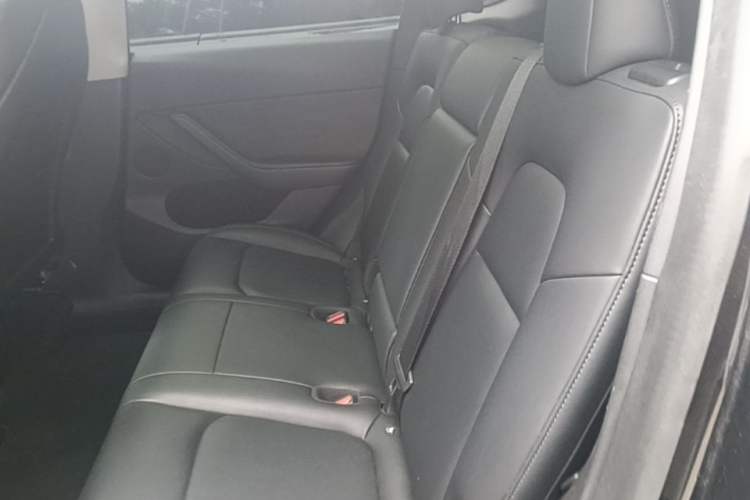 Used Tesla Model Y 2022 Rear-Wheel-Drive Version Left Rear Seat
