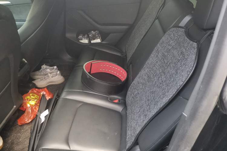 Used Tesla Model Y 2022 Rear-Wheel-Drive Version Left Rear Seat
